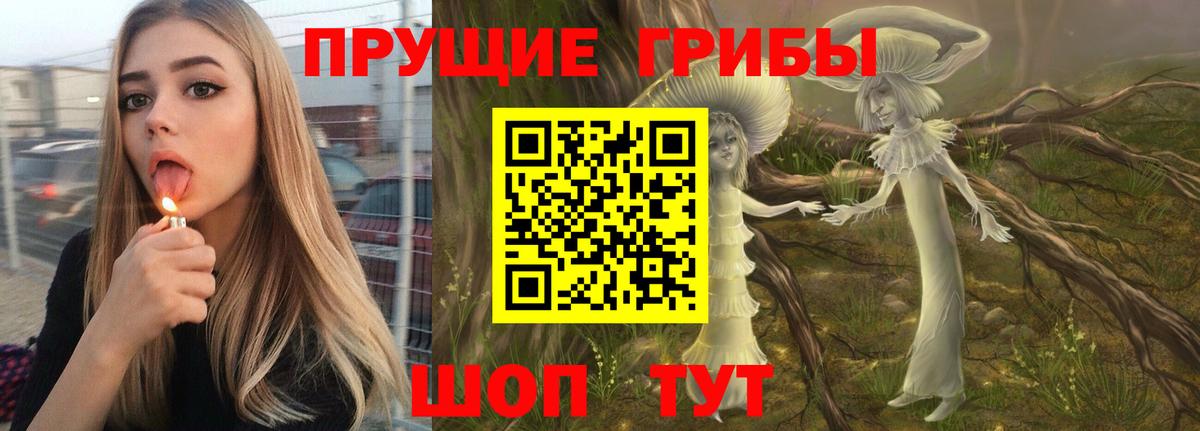 Волжск  Псилоцибиновые грибы MAGIC MUSHROOMS  Вход с VPN  как найти закладки  Псилоцибиновые грибы мухоморы 