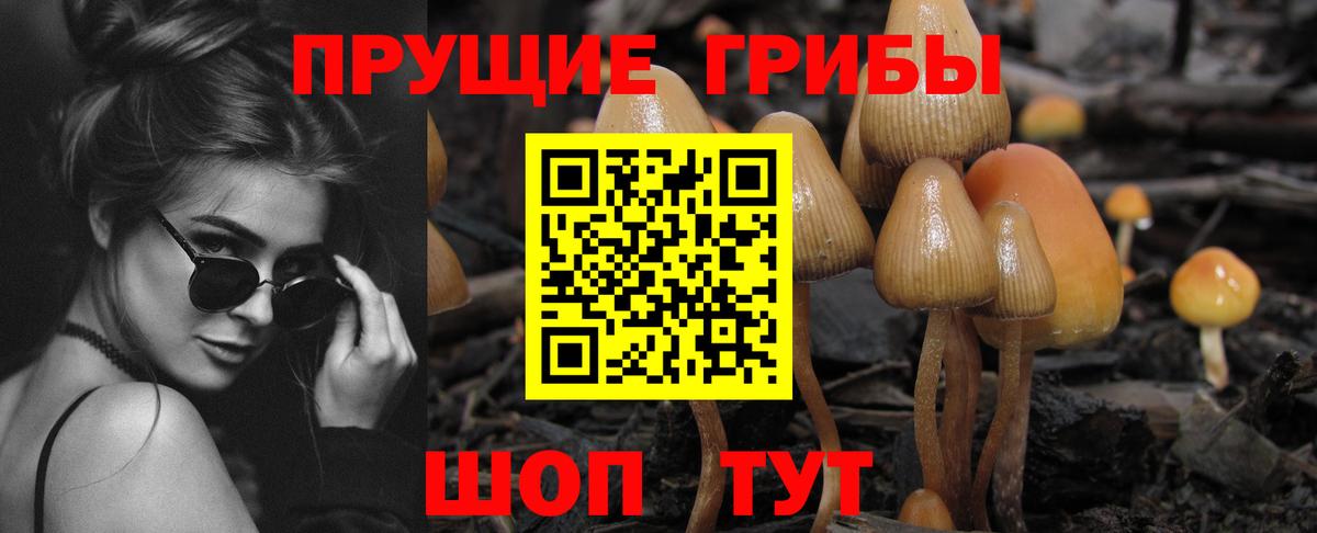 Псилоцибиновые грибы прущие грибы Волжск